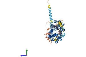 AlphaFold protein structure predicition of Human Recombinant SLC18A3 Protein, UniprotID Q16572