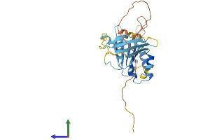 AlphaFold protein structure predicition of Mouse Recombinant Swsap1 Protein, UniprotID Q8VCI7