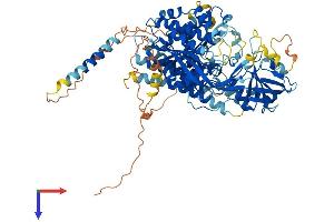 AlphaFold protein structure predicition of Human Recombinant NAALADL2 Protein, UniprotID Q58DX5
