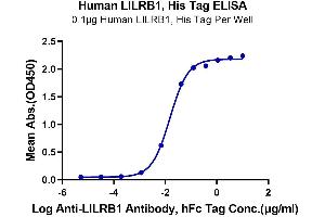 Immobilized Human LILRB1, His Tag at 1 μg/mL (100 μL/well) on the plate.
