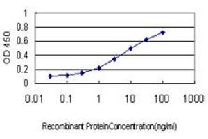 Detection limit for recombinant GST tagged SSR4 is approximately 0. (SSR4 anticorps  (AA 24-173))