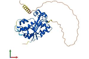 AlphaFold protein structure predicition of Mouse Recombinant Trex1 Protein, UniprotID Q91XB0