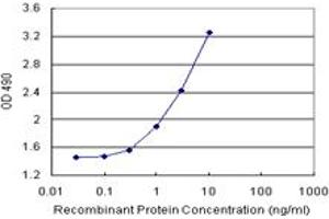 Sandwich ELISA detection sensitivity ranging from 0. (CBL (Humain) Matched Antibody Pair)