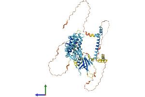 AlphaFold protein structure predicition of Human Recombinant CNKSR1 Protein, UniprotID Q969H4