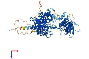 AlphaFold protein structure predicition of Human Recombinant OSGIN2 Protein, UniprotID Q9Y236