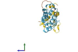 AlphaFold protein structure predicition of Human Recombinant PYCARD Protein, UniprotID Q9ULZ3