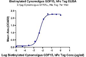 Growth Differentiation Factor 15 (GDF15) (AA 197-308) protein (Fc Tag,Biotin)