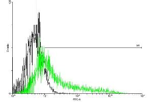 FACS analysis of negative control 293 cells (Black) and IL1R1 expressing 293 cells (Green) using IL1R1 purified MaxPab mouse polyclonal antibody.