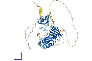 AlphaFold protein structure predicition of Human Recombinant HNRNPL Protein, UniprotID P14866
