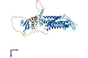 AlphaFold protein structure predicition of Mouse Recombinant Kcnc1 Protein, UniprotID P15388