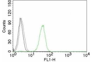 Flow cytometry testing of human Jurkat cells. (CD31 anticorps)