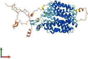 AlphaFold protein structure predicition of Mouse Recombinant Svop Protein, UniprotID Q8BFT9