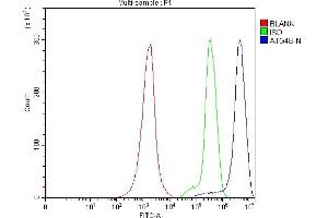Flow Cytometry analysis of Jurkat cells using anti-ATG4B antibody (ABIN7599346). (ATG4B anticorps  (AA 1-392))