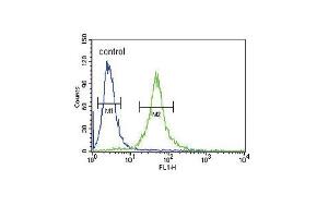 IL1RN Antibody (Center) (ABIN390396 and ABIN2840788) flow cytometric analysis of 293 cells (right histogram) compared to a negative control cell (left histogram).