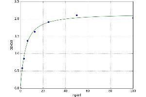 A typical standard curve (SMN1 Kit ELISA)