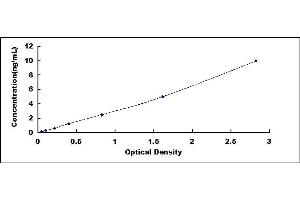 Typical standard curve (CysLTR1 Kit ELISA)