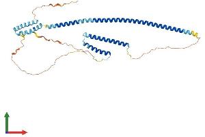 AlphaFold protein structure predicition of Mouse Recombinant Rilp Protein, UniprotID Q5ND29