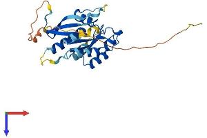 AlphaFold protein structure predicition of Mouse Recombinant Rab26 Protein, UniprotID Q504M8