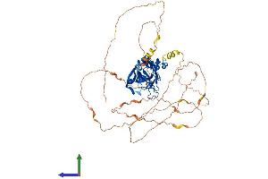 AlphaFold protein structure predicition of Mouse Recombinant Tbx4 Protein, UniprotID P70325