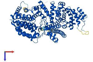 AlphaFold protein structure predicition of Human Recombinant NCBP1 Protein, UniprotID Q09161