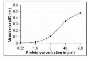 ELISA image for anti-Chemokine (C-C Motif) Ligand 4 (CCL4) (AA 27-92) antibody (ABIN2467947)
