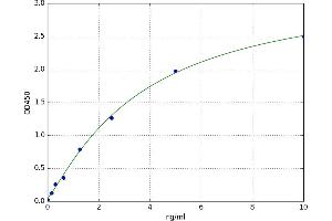 A typical standard curve (UBE2I Kit ELISA)