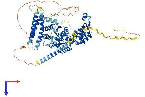 AlphaFold protein structure predicition of Human Recombinant SPAST Protein, UniprotID Q9UBP0