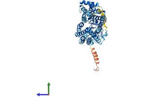 AlphaFold protein structure predicition of Mouse Recombinant Slc22a5 Protein, UniprotID Q9Z0E8