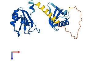 AlphaFold protein structure predicition of Mouse Recombinant Snrpb2 Protein, UniprotID Q9CQI7
