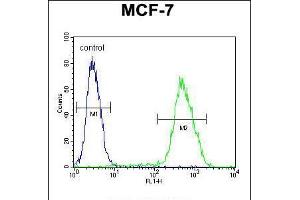 Flow cytometric analysis of MCF-7 cells (right histogram) compared to a negative control cell (left histogram). (LMO4 anticorps  (AA 104-131))