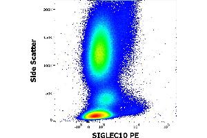 Anti-SIGLEC10 PE antibody (clone 5G6) works in flow cytometry application. (SIGLEC10 anticorps  (Extracellular Domain) (PE))