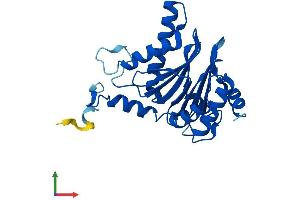 AlphaFold protein structure predicition of Mouse Recombinant Psma5 Protein, UniprotID Q9Z2U1