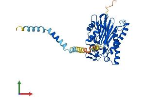 AlphaFold protein structure predicition of Mouse Recombinant Ppm1l Protein, UniprotID Q8BHN0