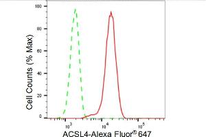 Flow cytometric analysis of ACSL4 expression in HT- cells using ACSL4 antibody (ABIN7797498), 1:2,000). (Recombinant ACSL4 anticorps)