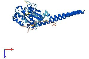 AlphaFold protein structure predicition of Human Recombinant GIMAP4 Protein, UniprotID Q9NUV9