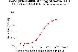 ELISA plate pre-coated by 2 μg/mL (100 μL/well) SARS-CoV-2 (Beta) S protein RBD, hFc Tag (ABIN7455404, ABIN7490625 and ABIN7490627) can bind Human Protein, mFc Tag (ABIN6961130, ABIN7042289 and ABIN7042290) in a linear range of 12.