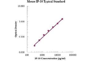 ELISA image for Chemokine (C-X-C Motif) Ligand 10 (CXCL10) ELISA Kit (ABIN3199210)