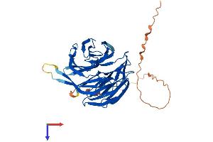 AlphaFold protein structure predicition of Mouse Recombinant Pak1ip1 Protein, UniprotID Q9DCE5