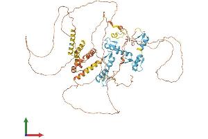AlphaFold protein structure predicition of Human Recombinant BCL6 Protein, UniprotID P41182