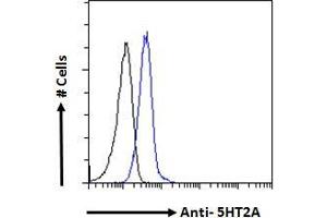 ABIN1049520 Flow cytometric analysis of paraformaldehyde fixed A549 cells (blue line), permeabilized with 0. (HTR2A anticorps  (AA 296-309))
