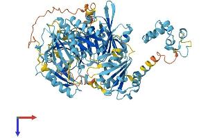 AlphaFold protein structure predicition of Mouse Recombinant Avil Protein, UniprotID O88398