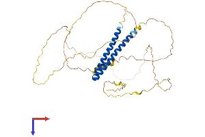 AlphaFold protein structure predicition of Mouse Recombinant Pphln1 Protein, UniprotID Q8K2H1