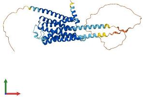 AlphaFold protein structure predicition of Human Recombinant HTR1A Protein, UniprotID P08908