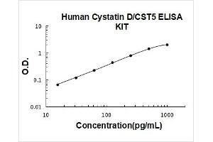 Cystatin D (CST5) ELISA Kit