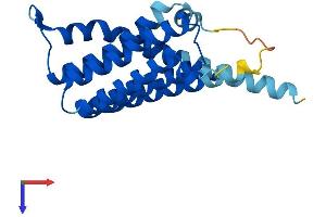 AlphaFold protein structure predicition of Mouse Recombinant Cdipt Protein, UniprotID Q8VDP6