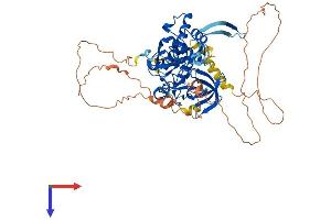 AlphaFold protein structure predicition of Human Recombinant PHF19 Protein, UniprotID Q5T6S3