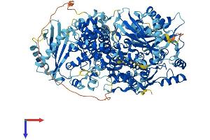 AlphaFold protein structure predicition of Human Recombinant OAS3 Protein, UniprotID Q9Y6K5