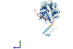 AlphaFold protein structure predicition of Human Recombinant ZNF878 Protein, UniprotID C9JN71