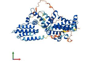 AlphaFold protein structure predicition of Mouse Recombinant Rasgef1c Protein, UniprotID Q9D300