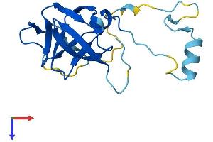 AlphaFold protein structure predicition of Human Recombinant ERVK-9 Protein, UniprotID P63127